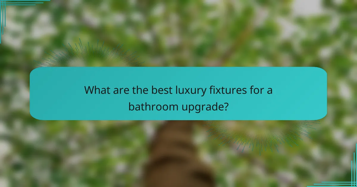 What are the best luxury fixtures for a bathroom upgrade?
