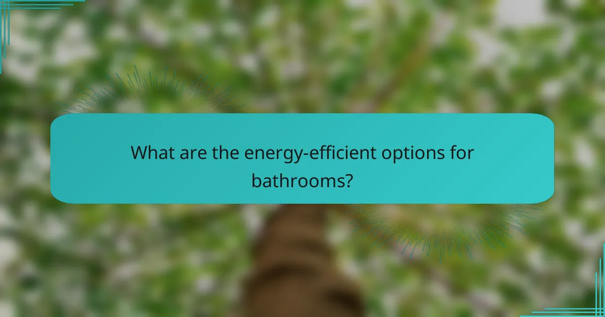 What are the energy-efficient options for bathrooms?